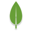 MongoDB Logo